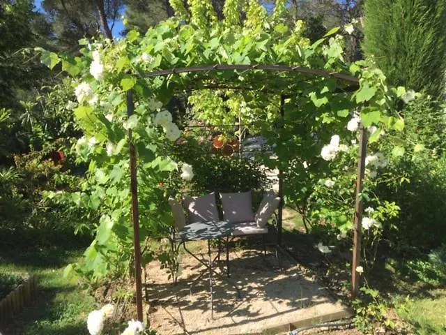 L 'Haveli Bed & Breakfast Vaison-la-Romaine France